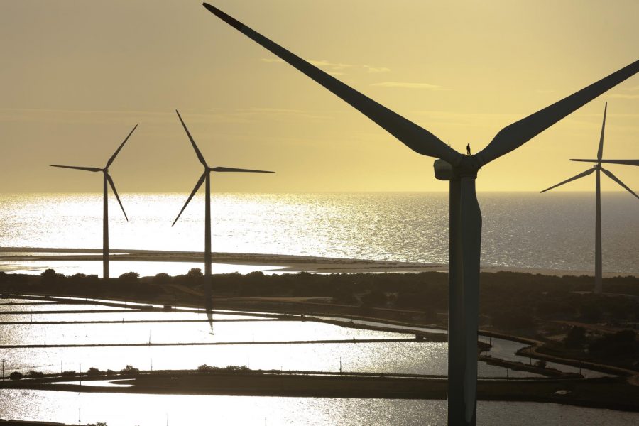 Featured image for “BRF e AES investem R$ 825 milhões em fonte limpa de energia”