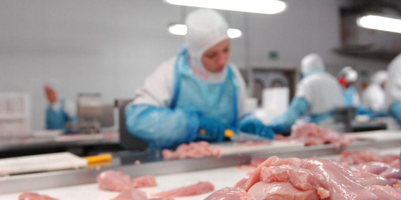 Featured image for “Supermercados do RS estão liberados para vender frango a granel”