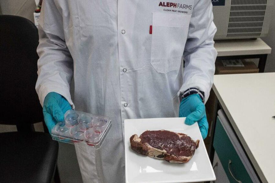 Featured image for “BRF adquire tecnologia para produzir carne cultivada”
