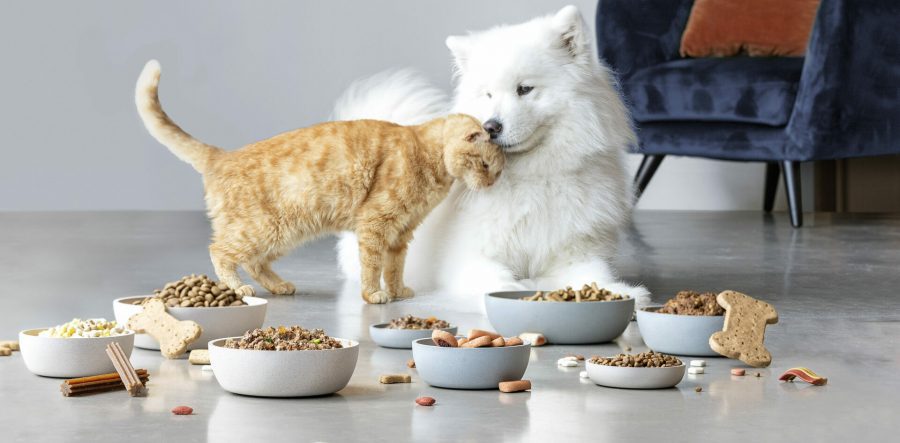 Featured image for “Cade autoriza aquisição da BRF no mercado de pet food”