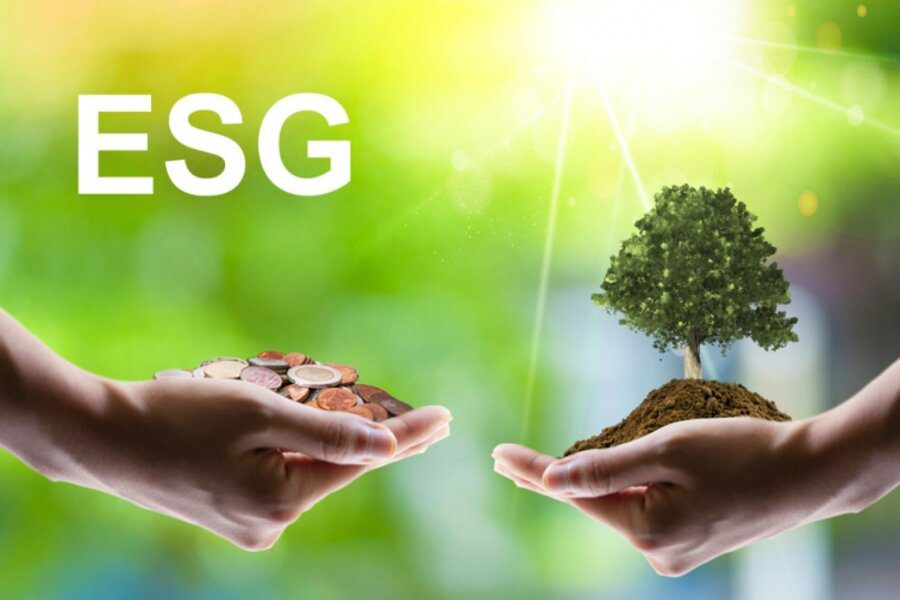 Featured image for “Líderes brasileiros mudam o pensamento sobre o ESG”
