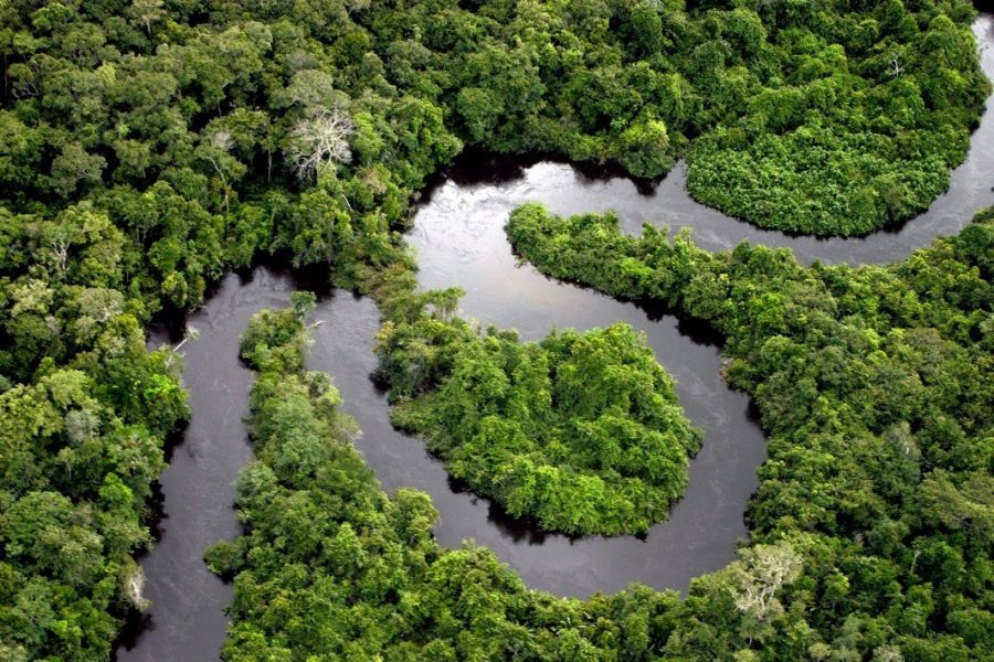Featured image for “Reckitt e WWF se unem com ações para sustentabilidade do planeta”