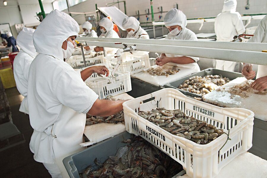 Featured image for “Dentro de 2 anos, brasileiro vai ter mais opções de peixe à mesa”