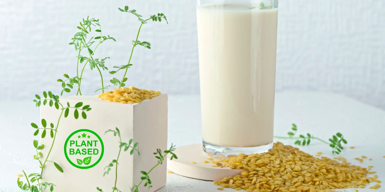 Featured image for “Mercado plant-based aumenta devido a procura por uma alimentação saudável”