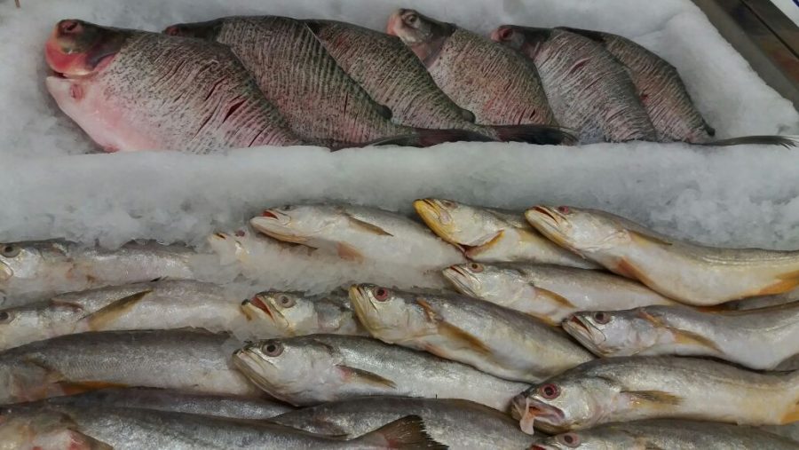 Featured image for “Está confirmada a 18ª Semana do Pescado em setembro”