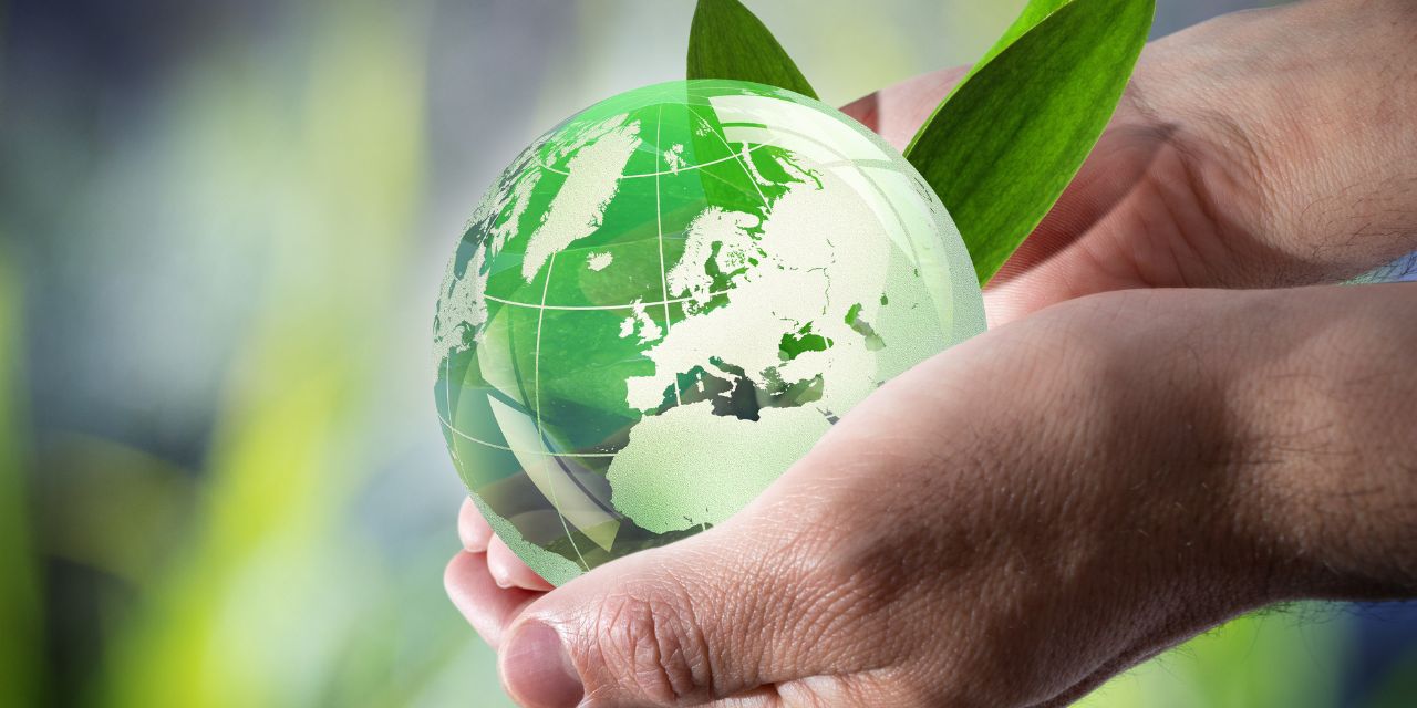 Featured image for “Sustentabilidade é prioridade para varejo e clientes”
