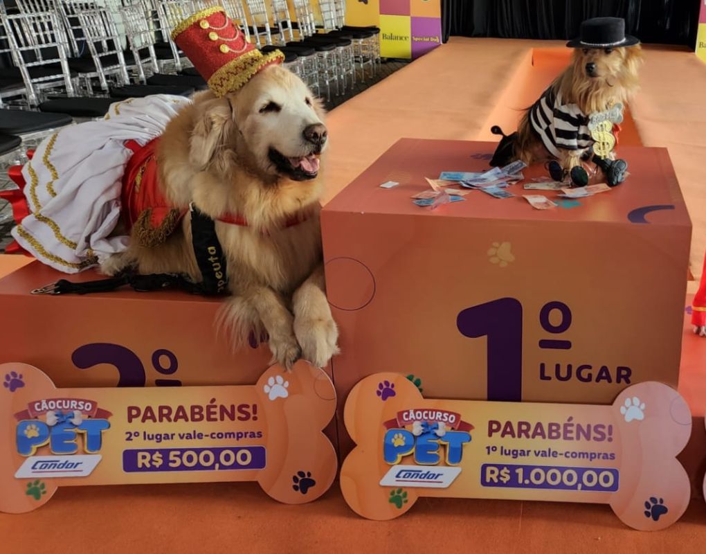 Featured image for “Rede investe em segmento pet e realiza concurso para premiar cães estilosos”