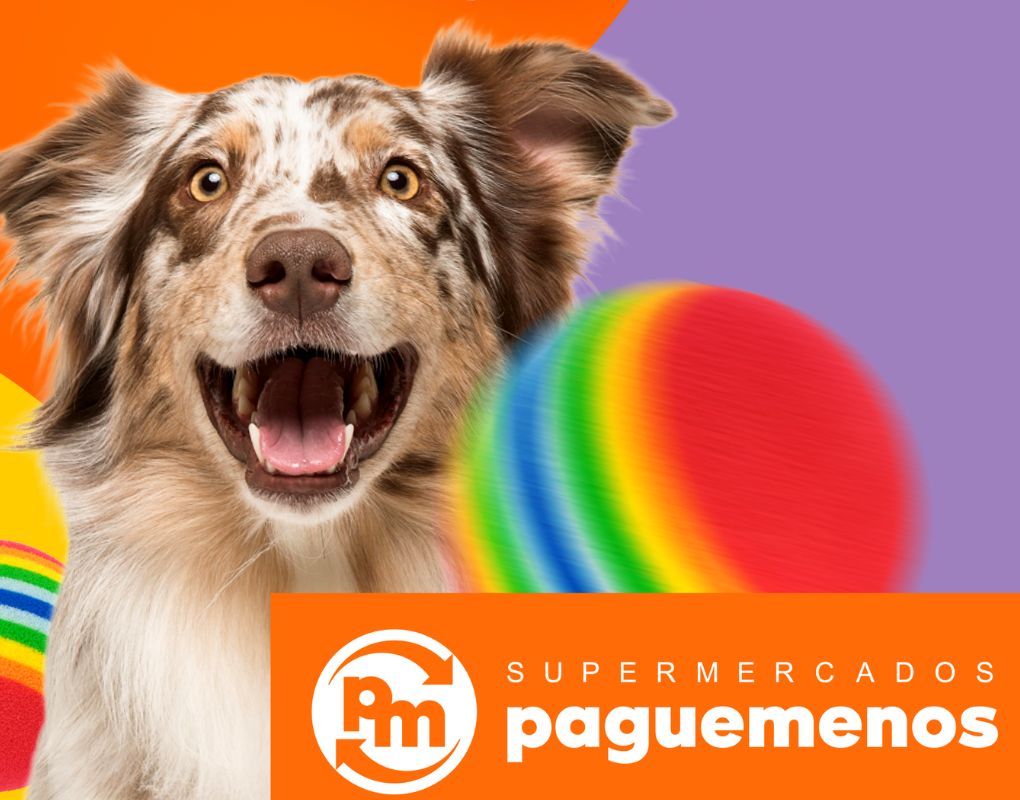 Featured image for “Rede Pague Menos anuncia a realização do festival Pets”