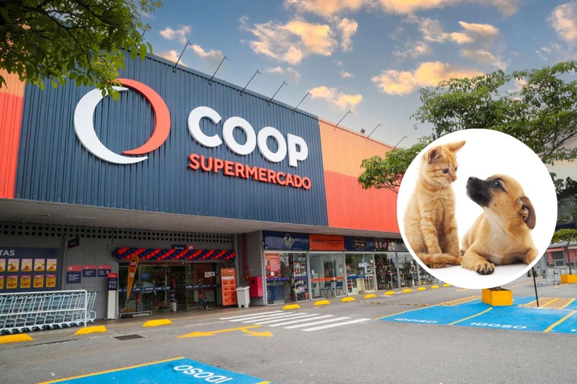 Divulgação Coop